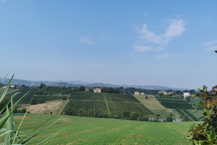Visite de 3 heures en vélo électrique avec parmesan et vinaigre balsamique