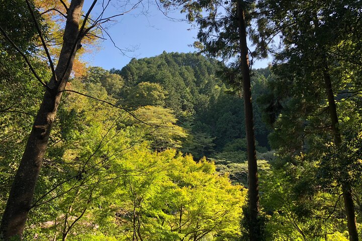 Escursione di un'intera giornata al Monte Takao, inclusa la sorgente termale