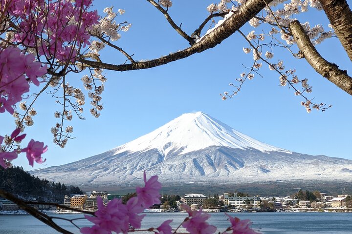 Mt. Fuji Skjulte Perler & Gotemba Outlets med Lokal Vejleder & Chauffør