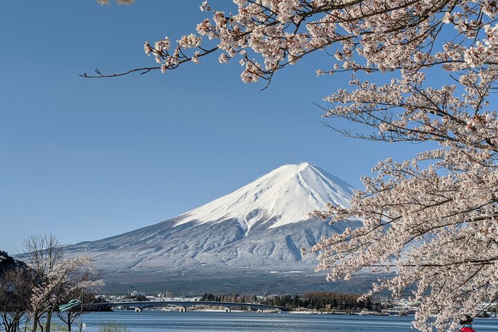 Mt. Fuji Skjulte Perler & Gotemba Outlets med Lokal Vejleder & Chauffør