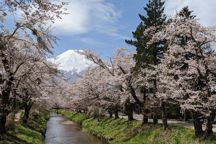 Mt. Fuji Skjulte Perler & Gotemba Outlets med Lokal Vejleder & Chauffør