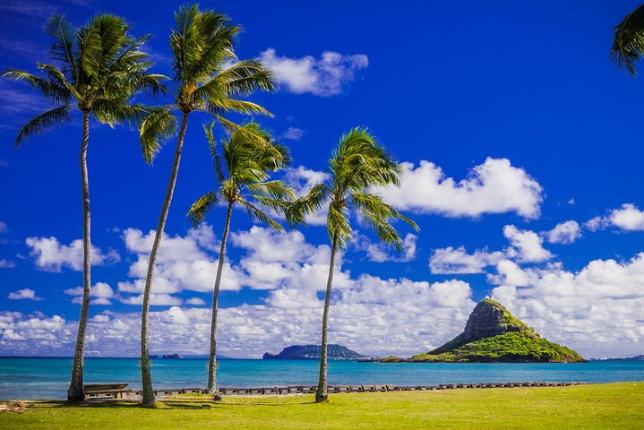Oahu : Grand Tour intorno all'isola con snorkeling