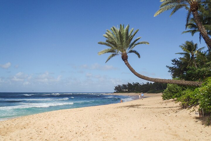 Oahu : Grand Tour intorno all'isola con snorkeling