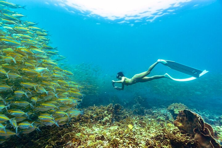 Ko Tao: Vintage båd - lille gruppe snorkling dagstur med måltider