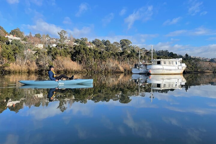 Visite guidée en kayak sur le front de mer pittoresque de Launceston sur des kayaks Hobie à pied