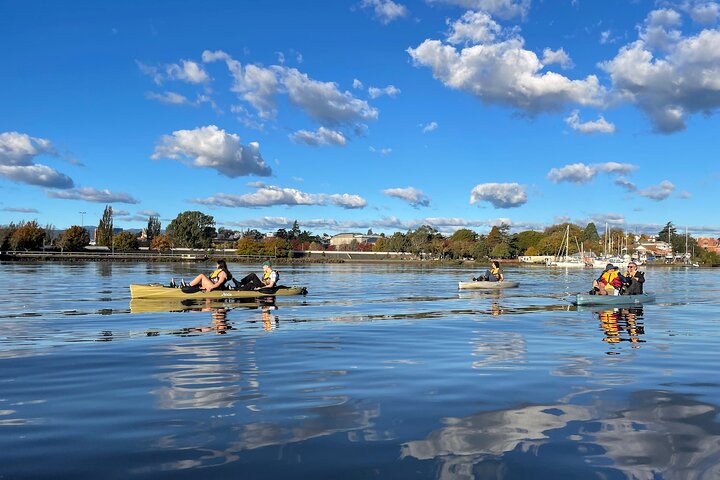 Visite guidée en kayak sur le front de mer pittoresque de Launceston sur des kayaks Hobie à pied