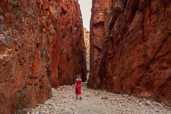 West MacDonnell Ranges e Standley Chasm Day Trip da Alice Springs