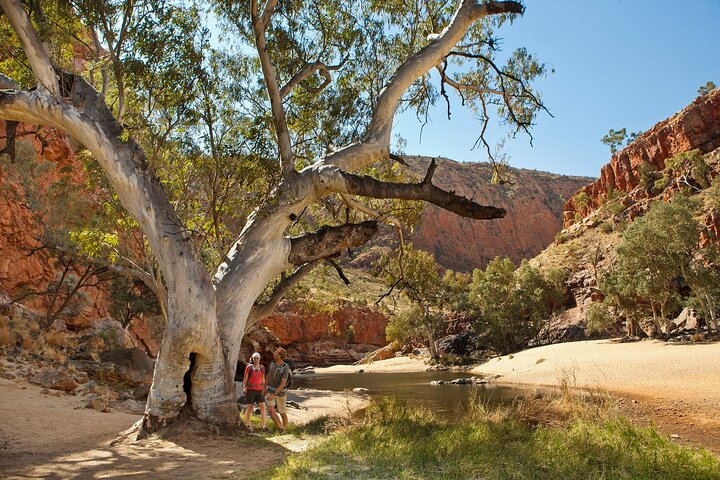 West MacDonnell Ranges e Standley Chasm Day Trip da Alice Springs