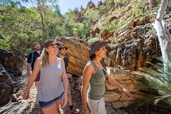 West MacDonnell Ranges e Standley Chasm Day Trip da Alice Springs