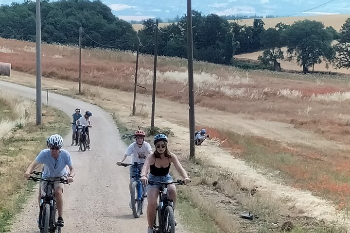 Expérience en vélo électrique en petit groupe d'Orvieto à Civita avec déjeuner