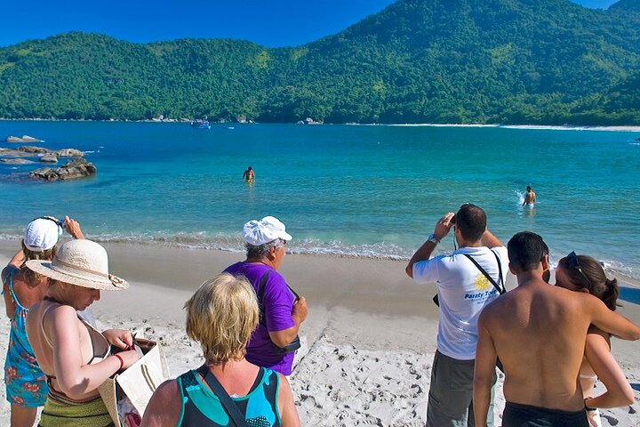 Escursione alle spiagge di Trindade - Natura e mare BY PARATY TOURS