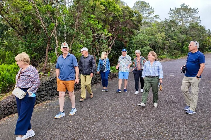 Eiland Faial: een volledige dag met lokale gids, vulkanen en landschappen
