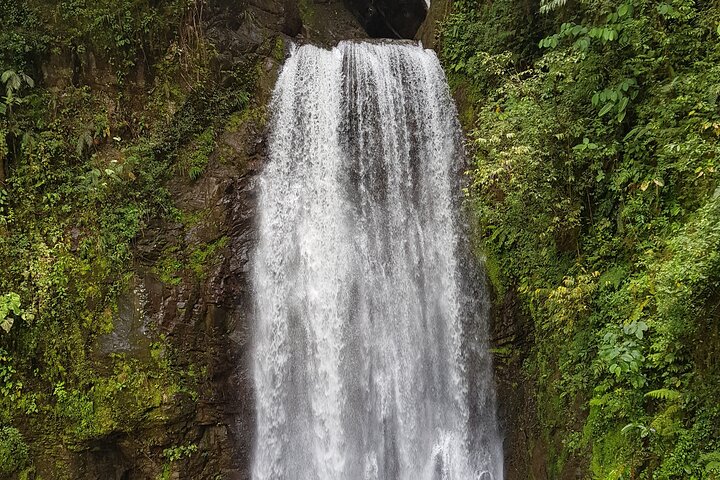 Wandertour zu den El Tigre-Wasserfällen mit Mittagessen und Naturführer