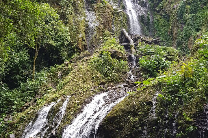 Wandertour zu den El Tigre-Wasserfällen mit Mittagessen und Naturführer
