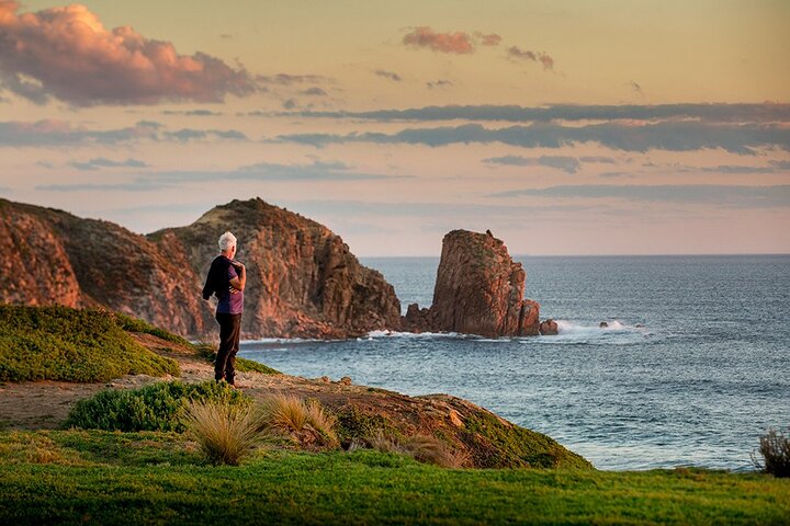 Phillip Island-tour van een hele dag met kangoeroe-, koala- en pinguïnparade