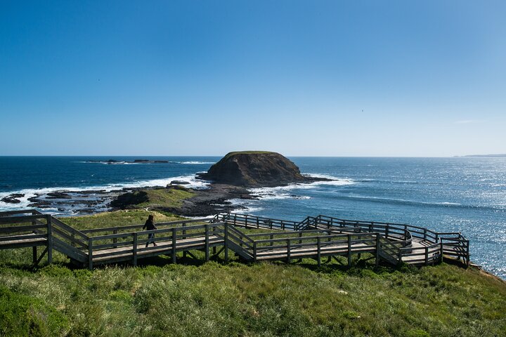 Phillip Island-tour van een hele dag met kangoeroe-, koala- en pinguïnparade