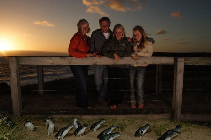 Phillip Island-tour van een hele dag met kangoeroe-, koala- en pinguïnparade