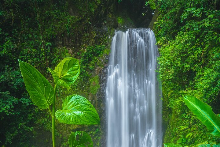 Wandertour zu den El Tigre-Wasserfällen mit Mittagessen und Naturführer