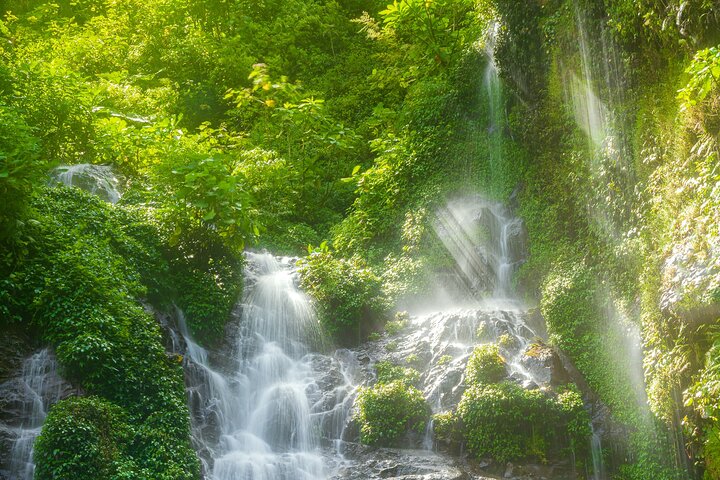 Wandertour zu den El Tigre-Wasserfällen mit Mittagessen und Naturführer