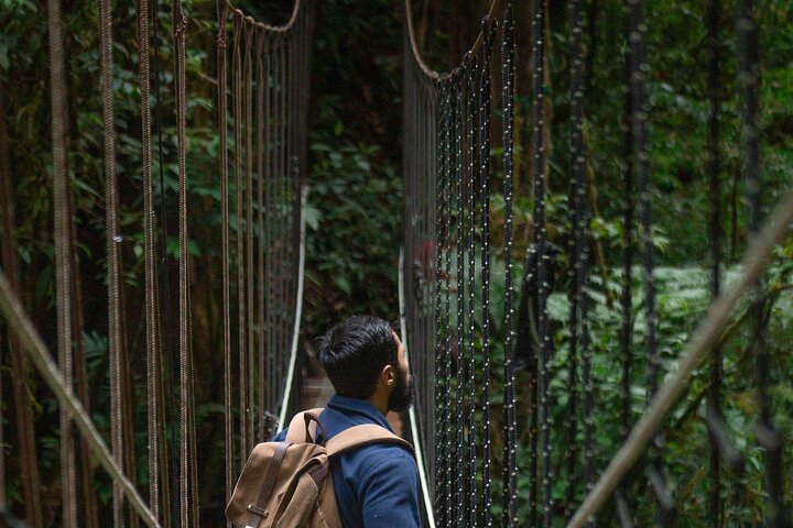 Wandertour zu den El Tigre-Wasserfällen mit Mittagessen und Naturführer