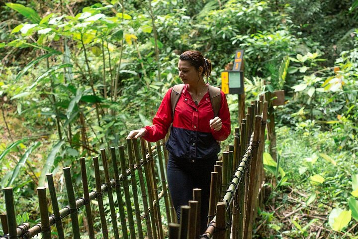 Wandertour zu den El Tigre-Wasserfällen mit Mittagessen und Naturführer