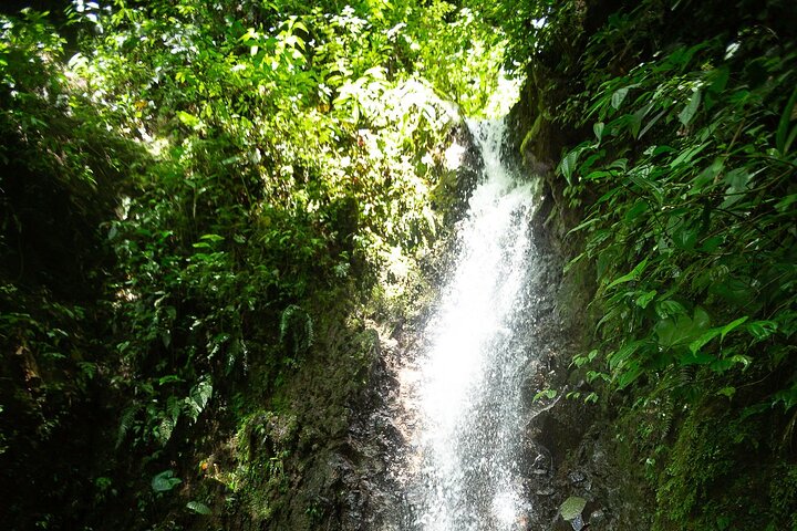 Wandertour zu den El Tigre-Wasserfällen mit Mittagessen und Naturführer
