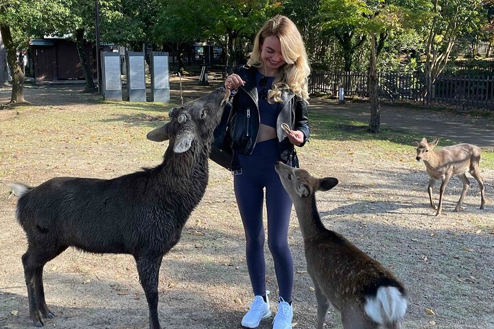 Excursion d'une journée à Nara au départ d'Osaka en voiture privée avec Guide licencié