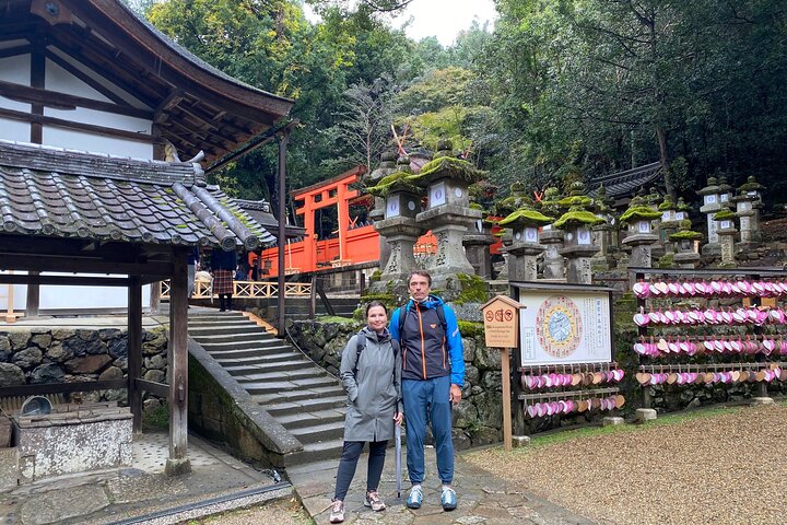 Excursion d'une journée à Nara au départ d'Osaka en voiture privée avec Guide licencié