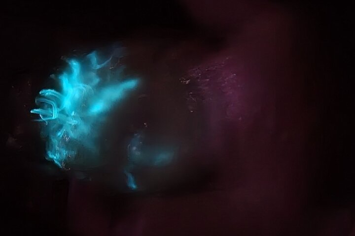 Florida Bioluminescentie Kajaktocht (Titusville)