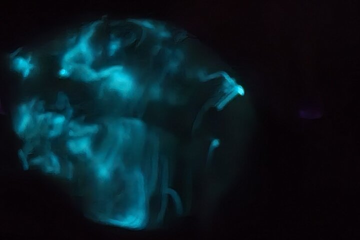 Florida Bioluminescentie Kajaktocht (Titusville)