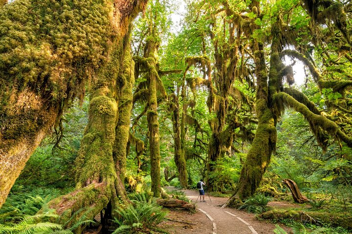 Tour audio di guida senza guida del Parco Nazionale Olimpico