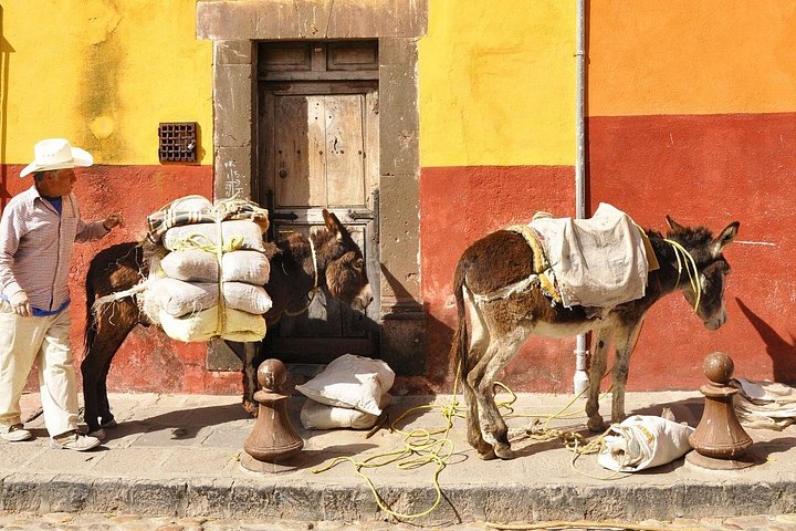 Privat-Transfer von Guanajuato Stadt nach San Miguel de Allende 1-Wege