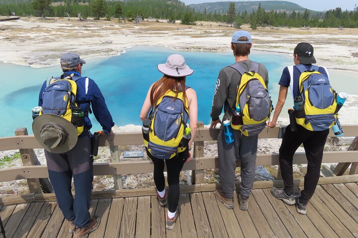 Excursão de caminhada de 6 milhas no gêiser em Yellowstone com almoço