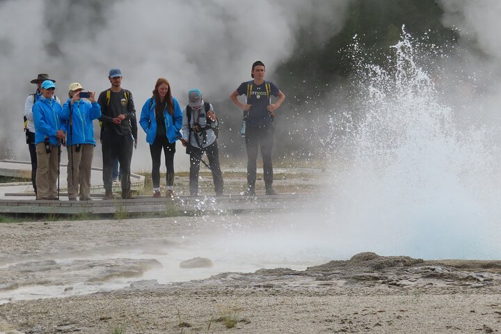 Excursão de caminhada de 6 milhas no gêiser em Yellowstone com almoço