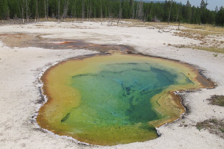 Excursão de caminhada de 6 milhas no gêiser em Yellowstone com almoço