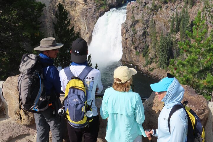 Grand Canyon do Yellowstone Rim and Loop Hike com almoço