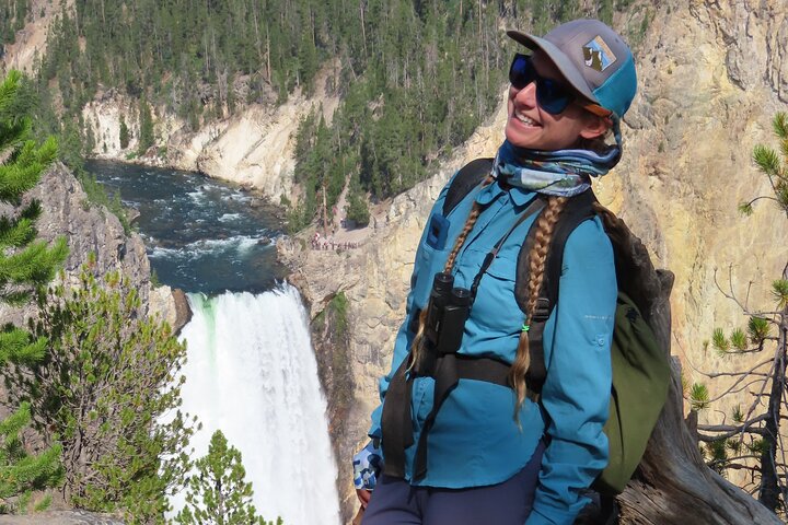 Grand Canyon do Yellowstone Rim and Loop Hike com almoço