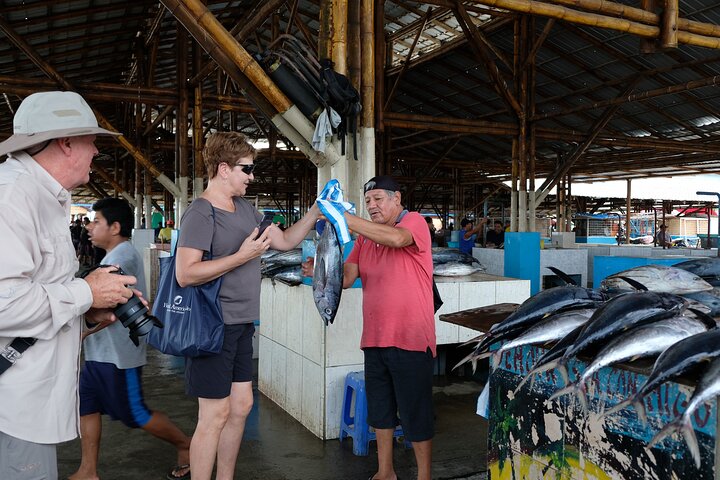 Montecristi & der Regenwald