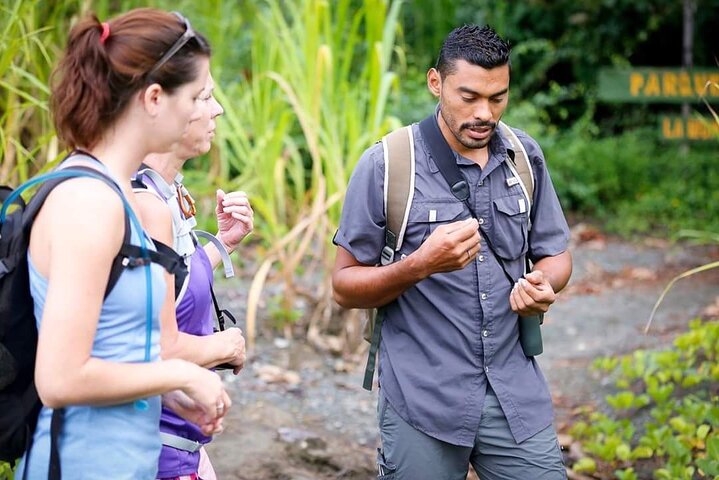 2-dagars privat sjöjungfruäventyr i Corcovado nationalpark