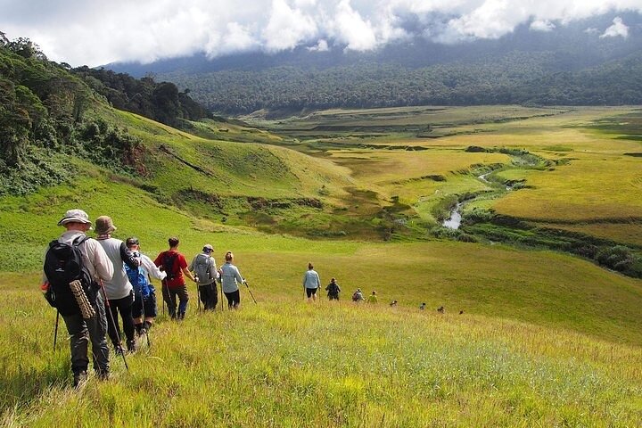 ADVENTURE KOKODA 8 Day History Trek Australian Led
