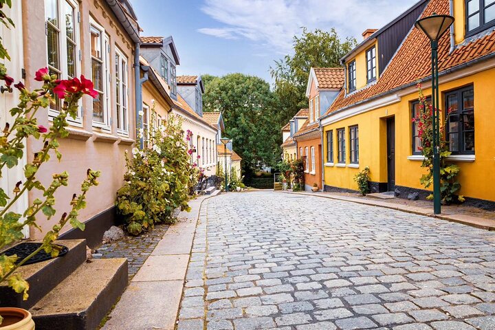 Visite privée du patrimoine à pied dans la vieille ville d'Odense