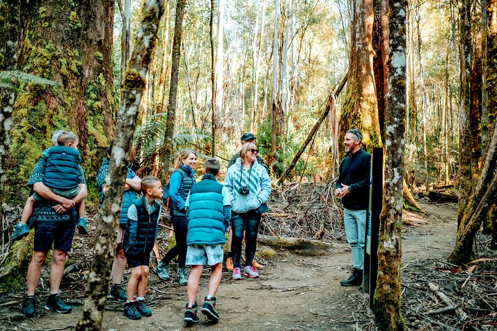 Dagstur i Mt. Field, Mt. Wellington, Bonorong Wildlife Sanctuary og Richmond