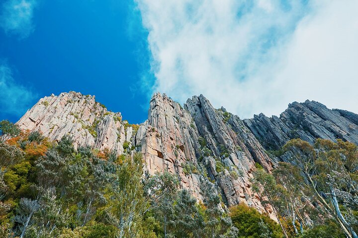 Shore Excursion-Hobart Wanderer