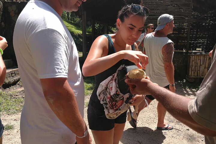 Dominica Treasures: Waterfals, Hot Springs, & Titou Gorge