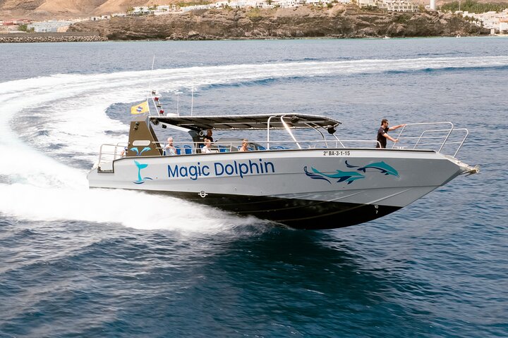 Morro Jable: 2 heures d'observation magique des dauphins et des baleines avec boissons et arrêt de baignade.