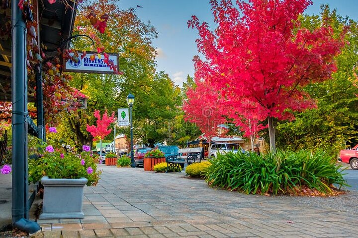 Hahndorf & Barossa & Maggie Beers (2 wijnhuizen en lunch inbegrepen)