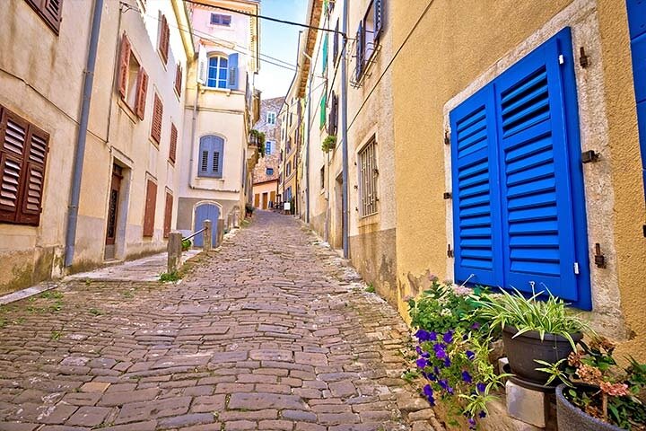 Istrie intérieure: Excursion d'une demi-journée à Motovun et Grožnjan (De Rovinj)
