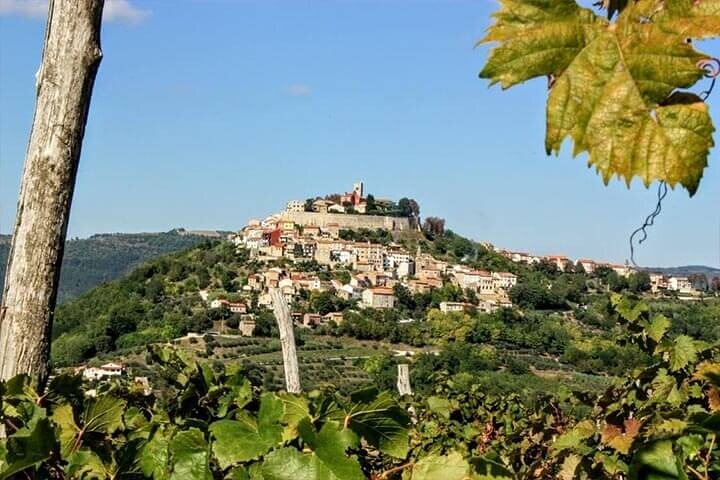 Istrie intérieure: Excursion d'une demi-journée à Motovun et Grožnjan (De Rovinj)