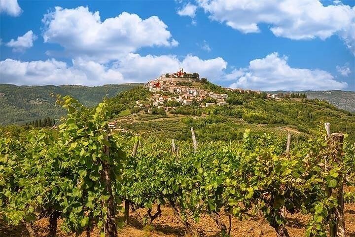 Istrie intérieure: Excursion d'une demi-journée à Motovun et Grožnjan (De Rovinj)