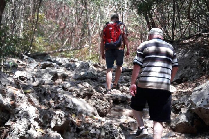 Sam Roi Yod National Park & Praya Nakhon Cave Deltag i gruppetur